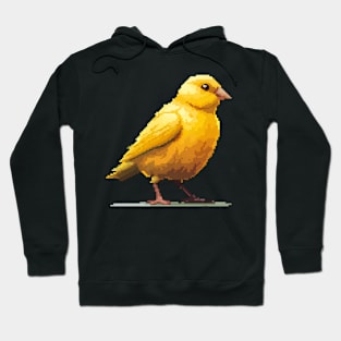 Canary in Pixel Form Hoodie